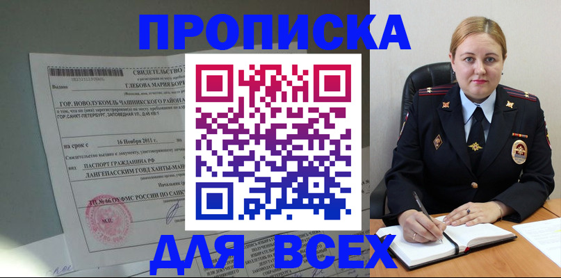 прописка поиск в Шлиссельбурге